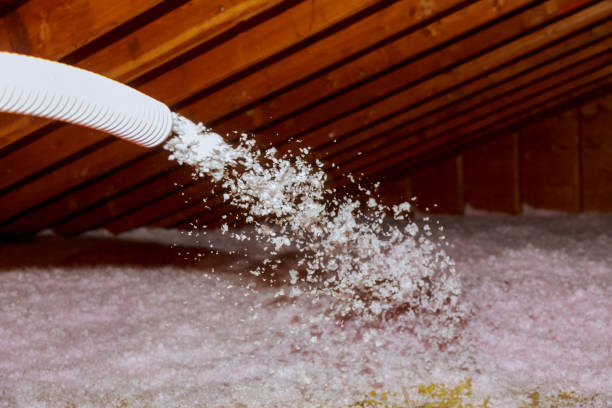Best Eco-Friendly Insulation in Ohioville, PA