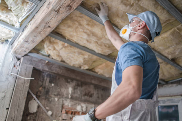 Best Cellulose Insulation in Ohioville, PA
